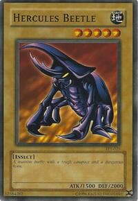 Hercules Beetle: Tournament Pack 1