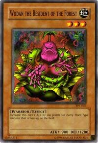 Wodan the Resident of the Forest: Tournament Pack 1