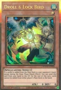Droll & Lock Bird: Maximum Gold