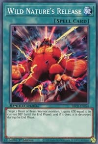 Wild Nature's Release: Speed Duel: Battle City Box
