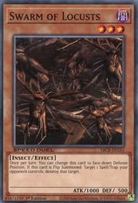 Swarm of Locusts: Speed Duel: Battle City Box