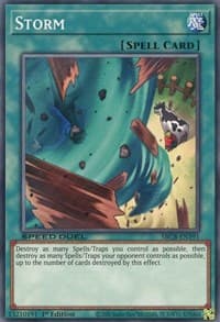 Storm: Speed Duel: Battle City Box