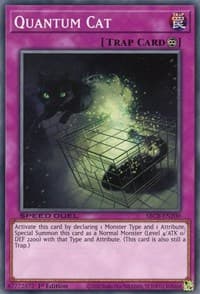 Quantum Cat: Speed Duel: Battle City Box