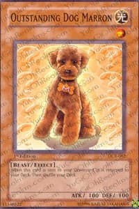 Outstanding Dog Marron: Dark Crisis