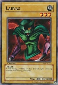 Larvas: Magic Ruler