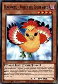 Blackwing - Auster the South Wind: Legendary Duelists: Season 2