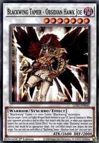 Blackwing Tamer - Obsidian Hawk Joe: Legendary Duelists: Season 2