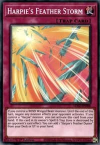 Harpie's Feather Storm: Legendary Duelists: Season 2