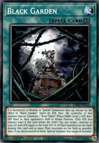 Black Garden: Legendary Duelists: Season 2