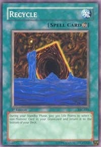 Recycle: Invasion of Chaos