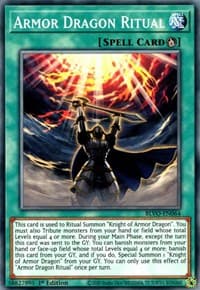 Armor Dragon Ritual: Blazing Vortex