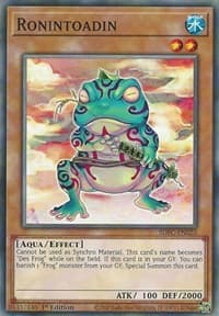 Ronintoadin: Structure Deck: Freezing Chains