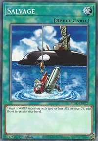 Salvage: Structure Deck: Freezing Chains