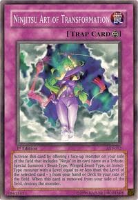 Ninjitsu Art of Transformation: Ancient Sanctuary