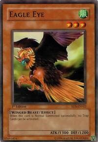 Eagle Eye: Rise of Destiny