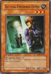 Tactical Espionage Expert: Rise of Destiny