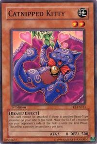 Catnipped Kitty: Flaming Eternity
