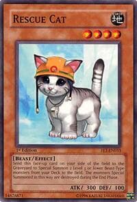 Rescue Cat: Flaming Eternity