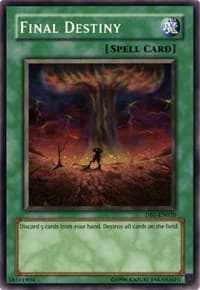 Final Destiny: Dark Beginning 1