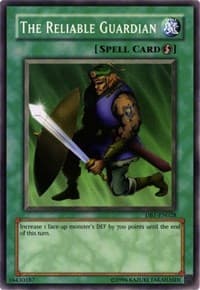 The Reliable Guardian: Dark Beginning 1