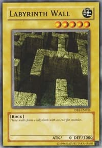 Labyrinth Wall: Dark Beginning 1