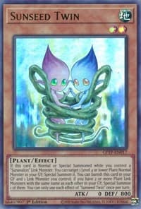 Sunseed Twin: Ghosts From the Past