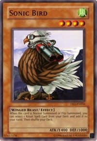 Sonic Bird: Dark Beginning 1