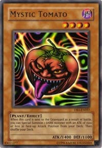 Mystic Tomato: Dark Beginning 1