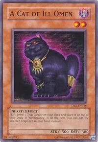 A Cat of Ill Omen: Dark Revelation Volume 1