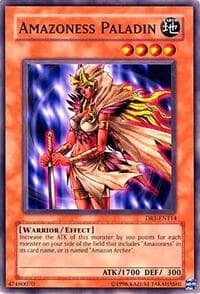 Amazoness Paladin: Dark Revelation Volume 1