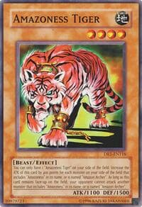 Amazoness Tiger: Dark Revelation Volume 1