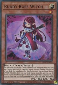Ruddy Rose Witch: Lightning Overdrive