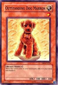 Outstanding Dog Marron: Dark Revelation Volume 1