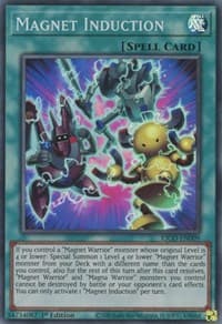 Magnet Induction: King's Court