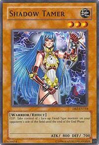 Shadow Tamer: Dark Beginning 2