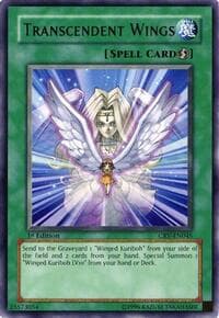 Transcendent Wings: Cybernetic Revolution
