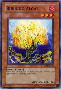Burning Algae: Dark Revelation Volume 2
