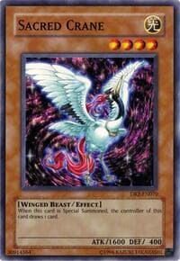 Sacred Crane: Dark Revelation Volume 2