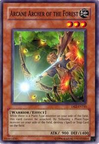 Arcane Archer of the Forest: Dark Revelation Volume 2