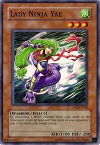 Lady Ninja Yae: Dark Revelation Volume 2
