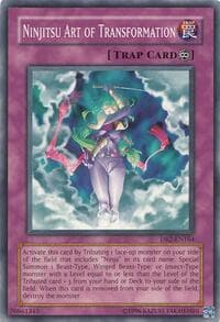 Ninjitsu Art of Transformation: Dark Revelation Volume 2
