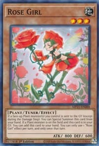 Rose Girl: 2021 Tin of Ancient Battles