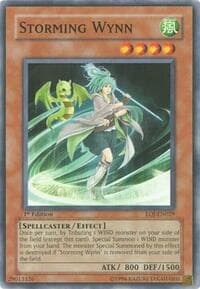 Storming Wynn: Enemy of Justice