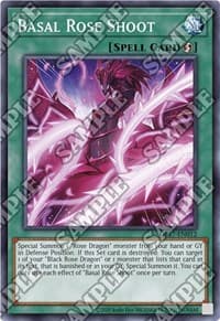 Basal Rose Shoot: OTS Tournament Pack 17