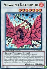 Black Rose Dragon (German) - "Schwarzer Rosendrache": Advent Calendar 2011 (Adventskalender)