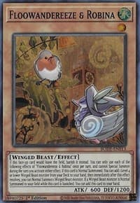 Floowandereeze & Robina: Burst of Destiny