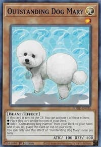 Outstanding Dog Mary: Burst of Destiny