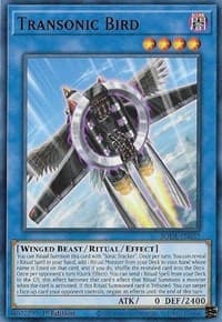 Transonic Bird: Burst of Destiny