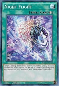 Night Flight: Burst of Destiny