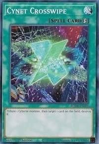 Cynet Crosswipe: Burst of Destiny